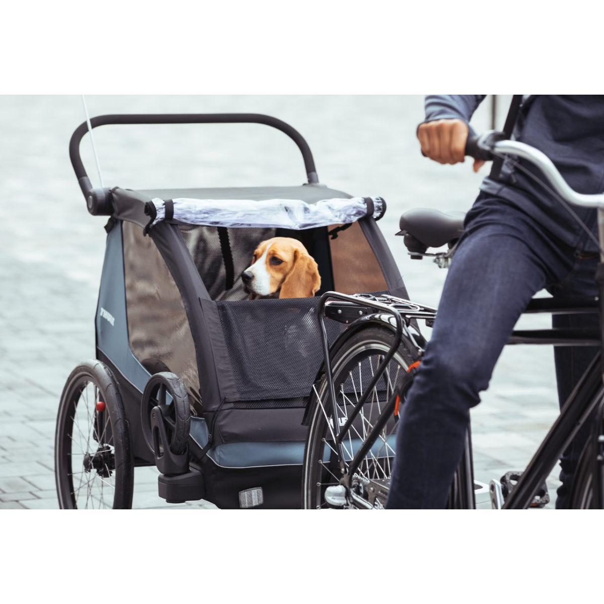 Piekabe Thule Courier | Egejas jūras zilā krāsā