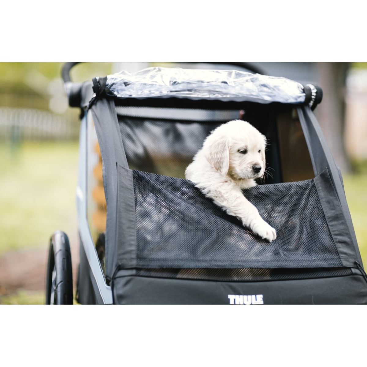 Thule Courier suņu piekabes komplekts