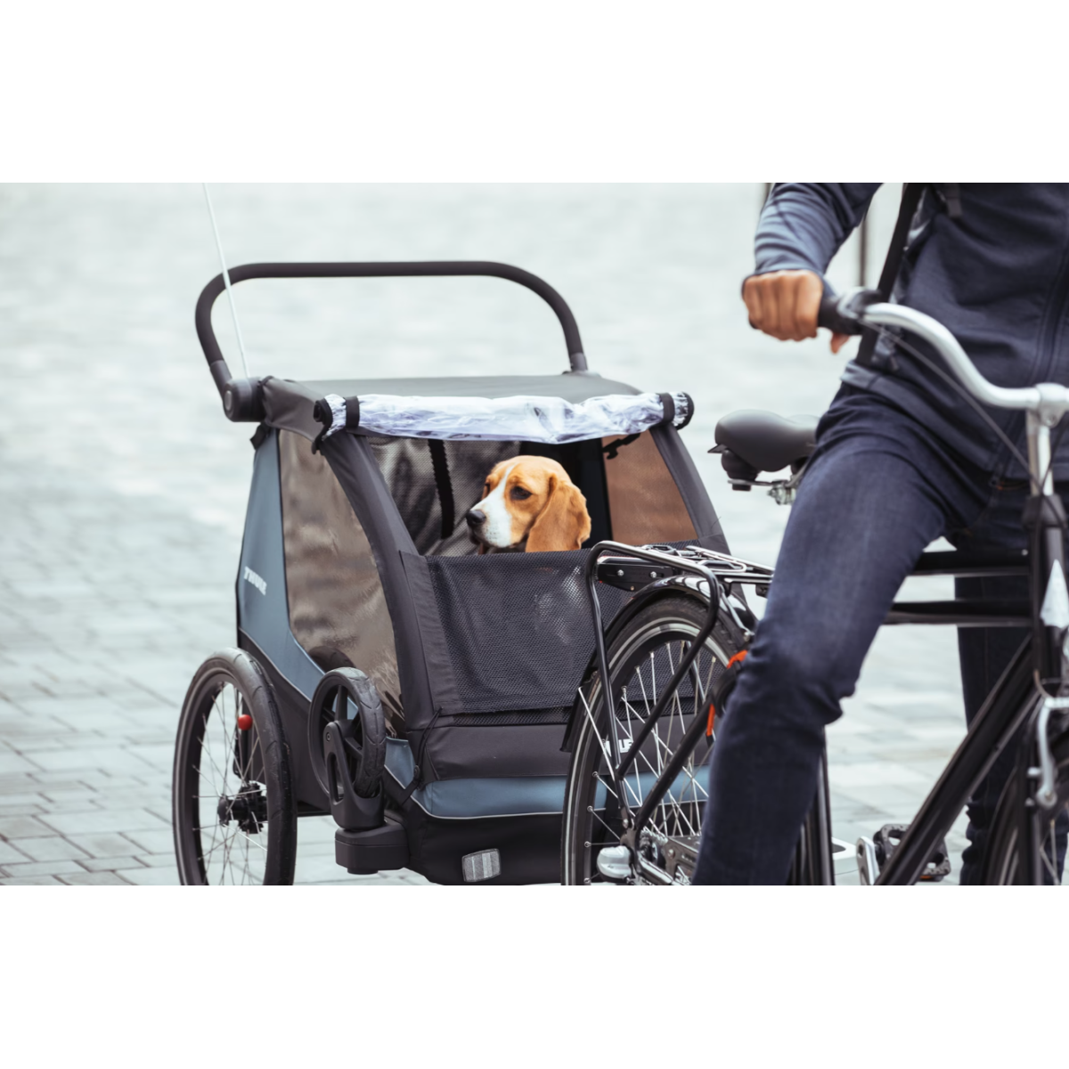 Thule Courier suņu piekabes komplekts