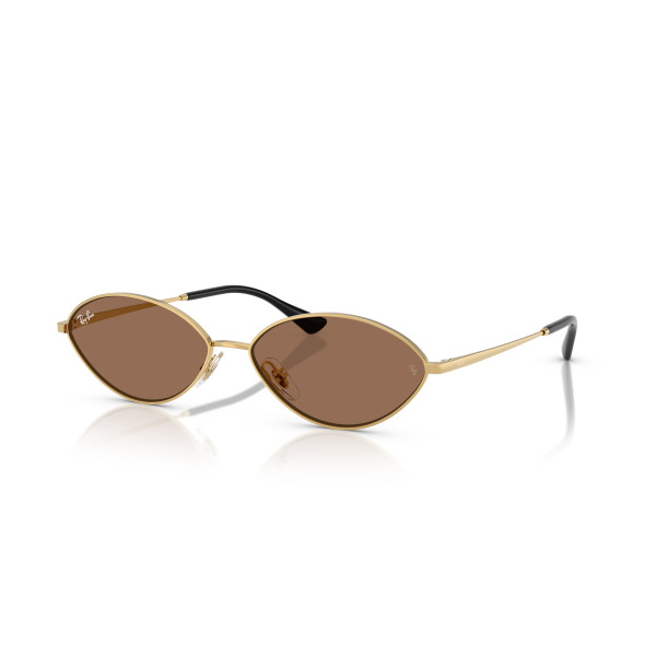 Ray-Ban Kai saulesbrilles | Gold - Dark Brown