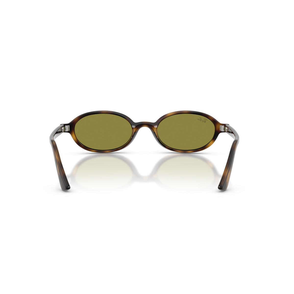 Ray-Ban Khal Small saulesbrilles | Havana - Green
