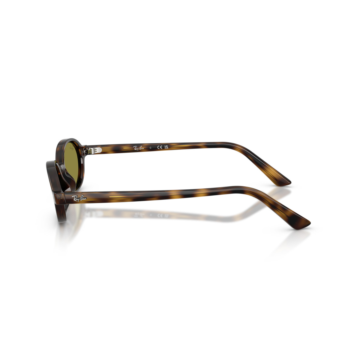 Ray-Ban Khal Small saulesbrilles | Havana - Green