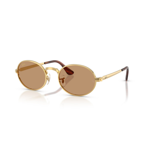 Ray-Ban RB3931 By A$AP Rocky saulesbrilles | Arista Gold - Brown