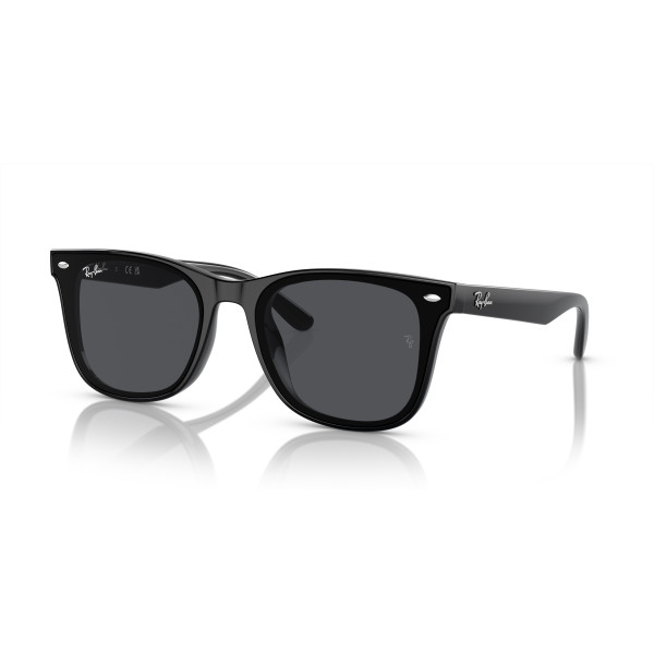Ray-Ban RB4420 saulesbrilles | Black - Dark Gray