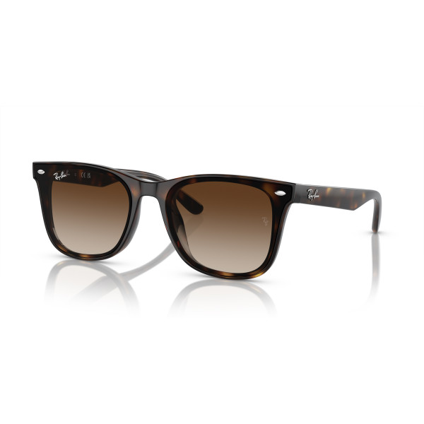 Ray-Ban RB4420 saulesbrilles | Havana - Brown