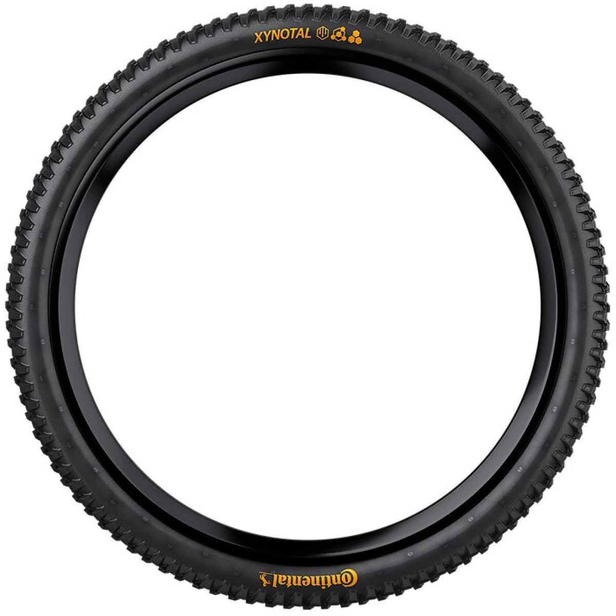 Continental Xynotal Downhill Soft 29