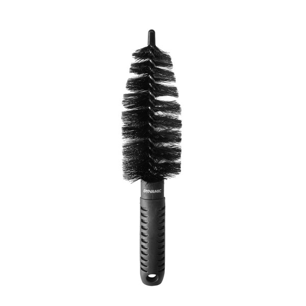 Dynamic Cone birsta