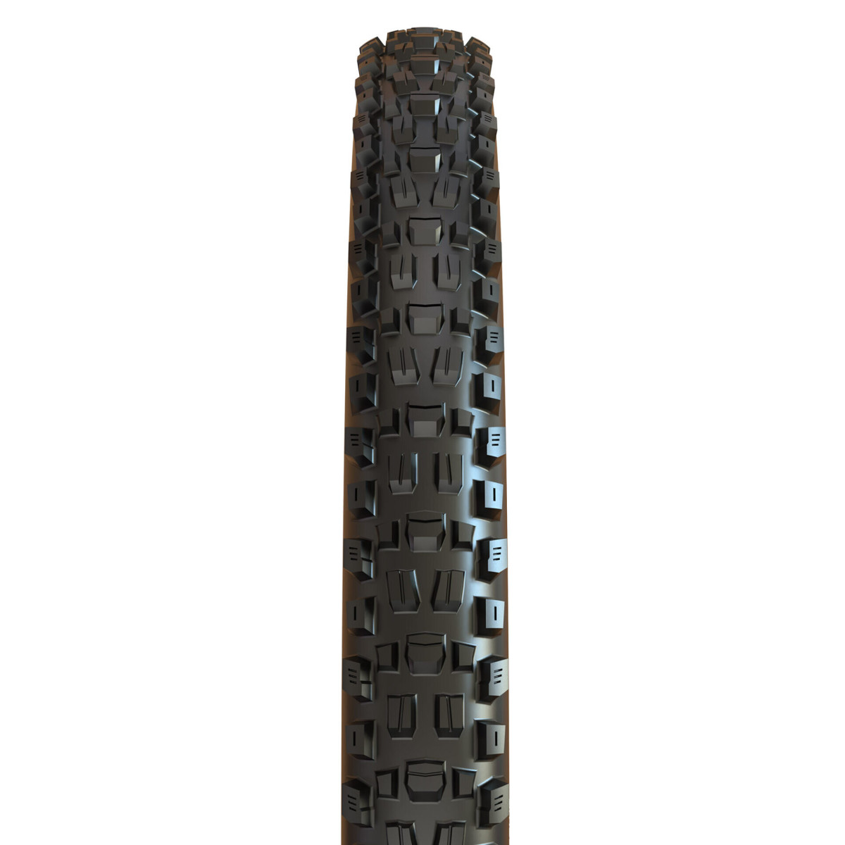 Maxxis Assegai EXO TR 27,5