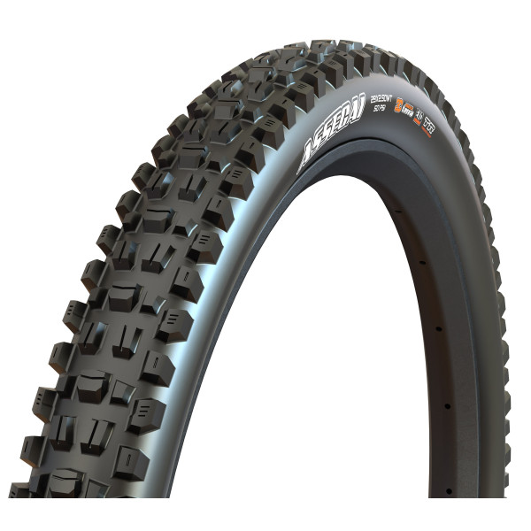 Maxxis Assegai EXO TR 29