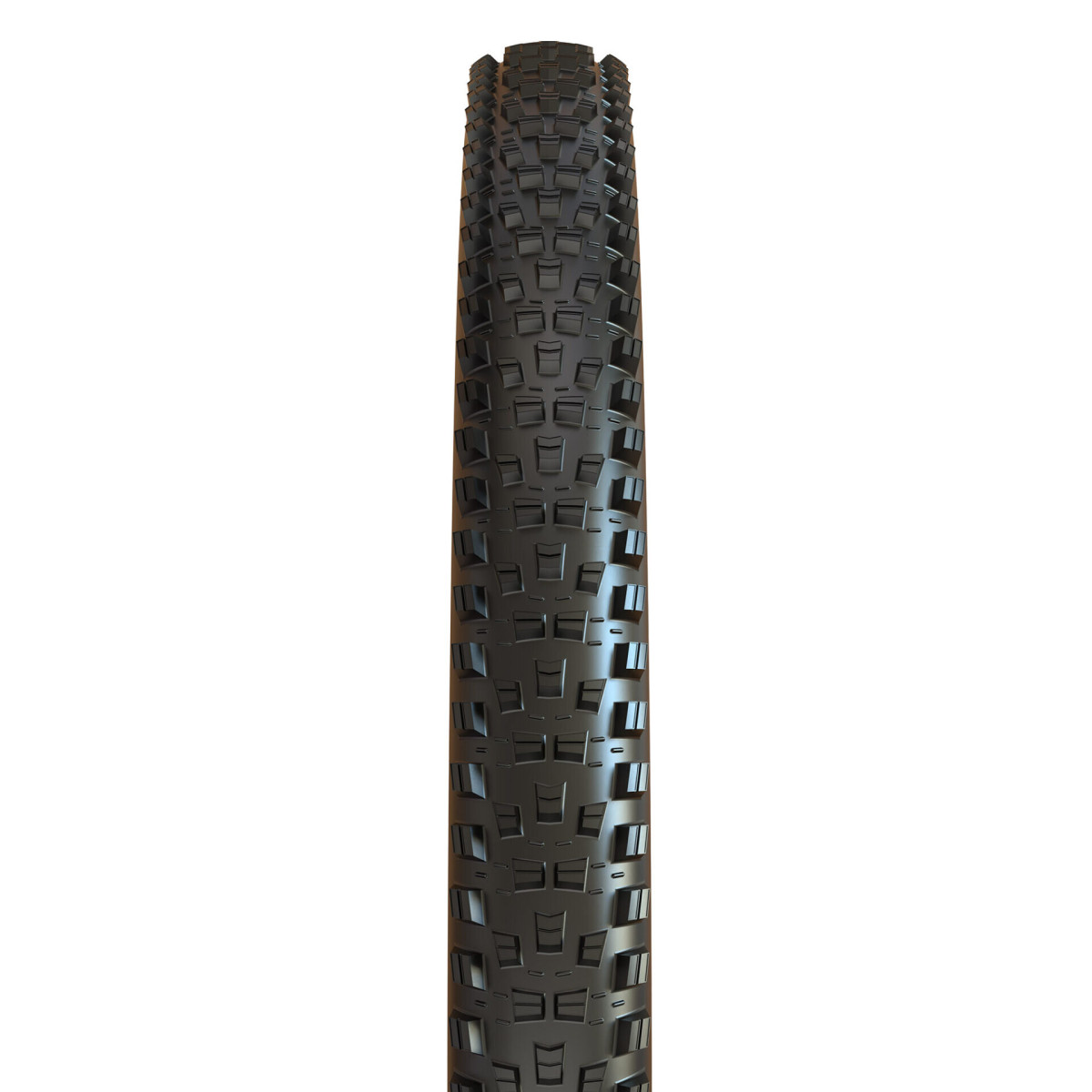 Maxxis Forekaster EXO+ TR E50 29" 3C Maxx Terra salokāmā riepa | Black