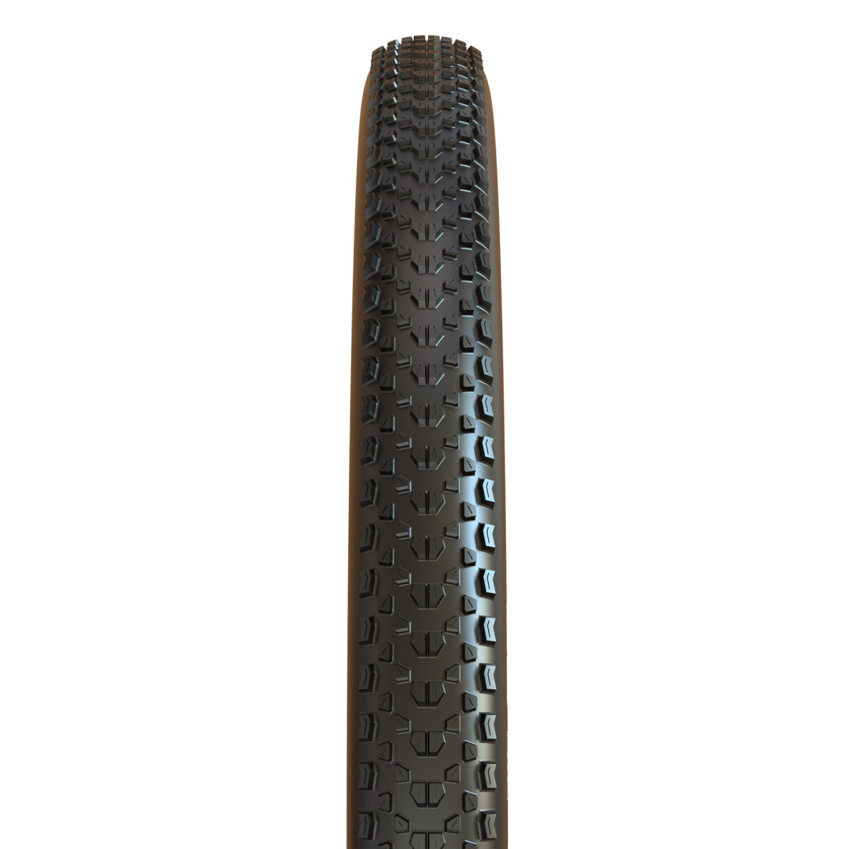 Maxxis Ikon EXO TR 29