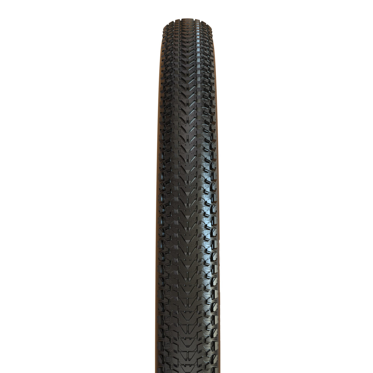 Maxxis Pace EXO TR 29