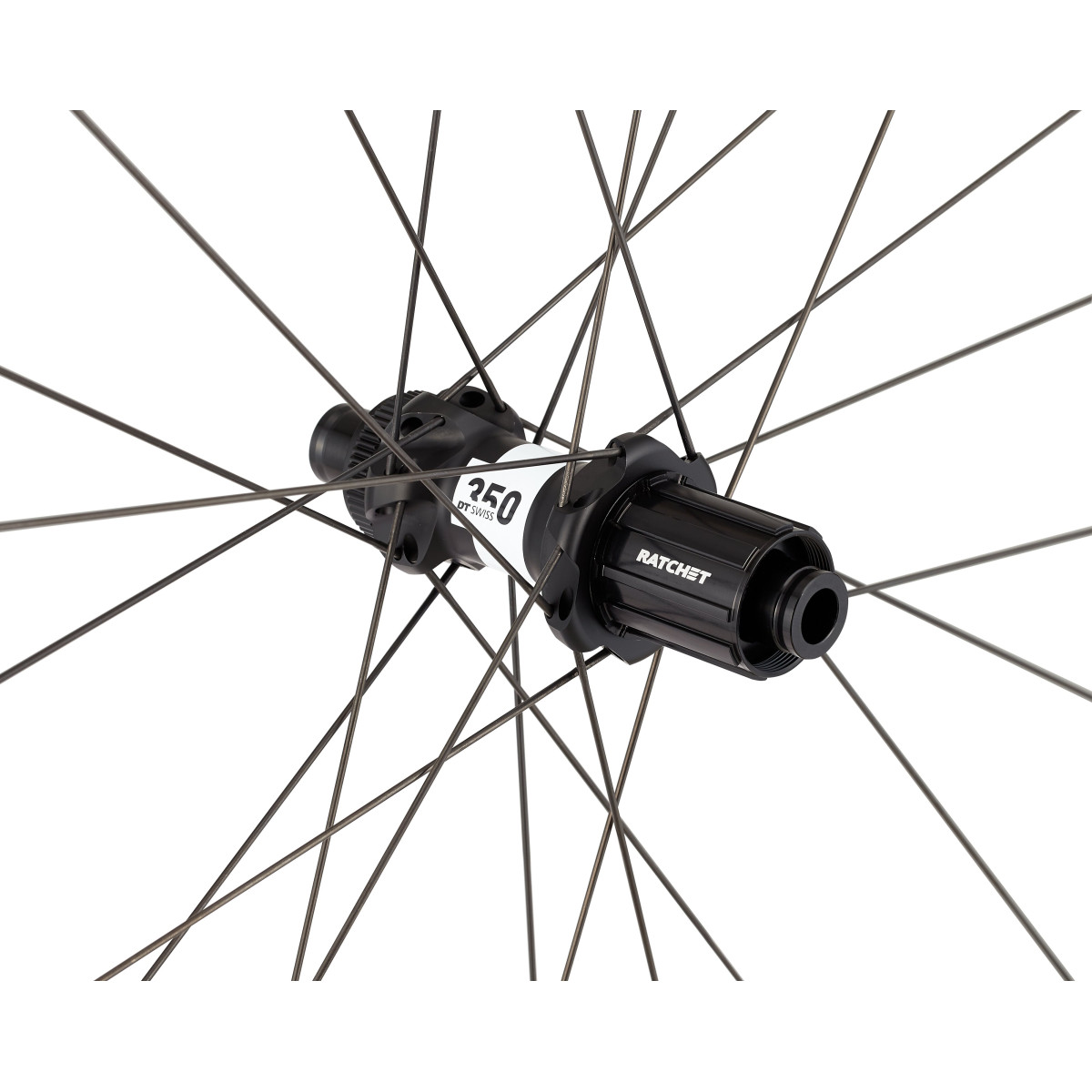 Roval Alpinist SLX Disc alumīnija aizmugurējais rats