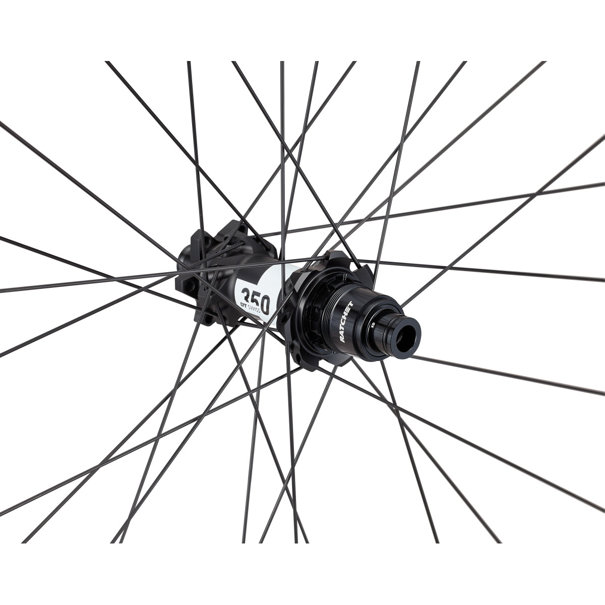 Roval Control Alloy 350 29