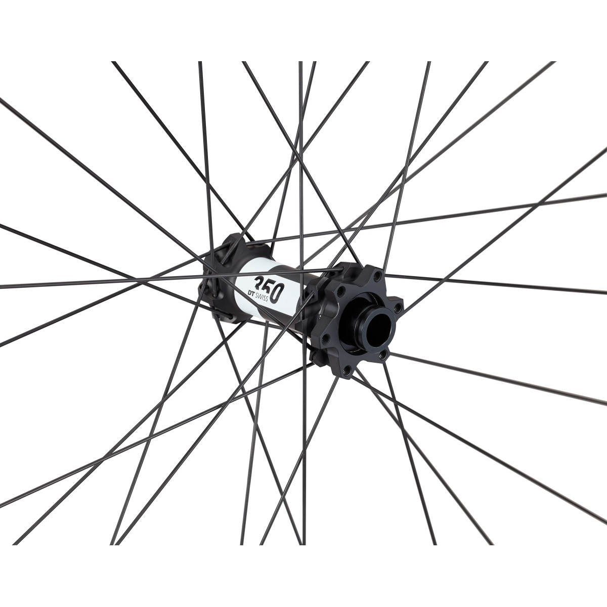 Roval Control Alloy 350 29