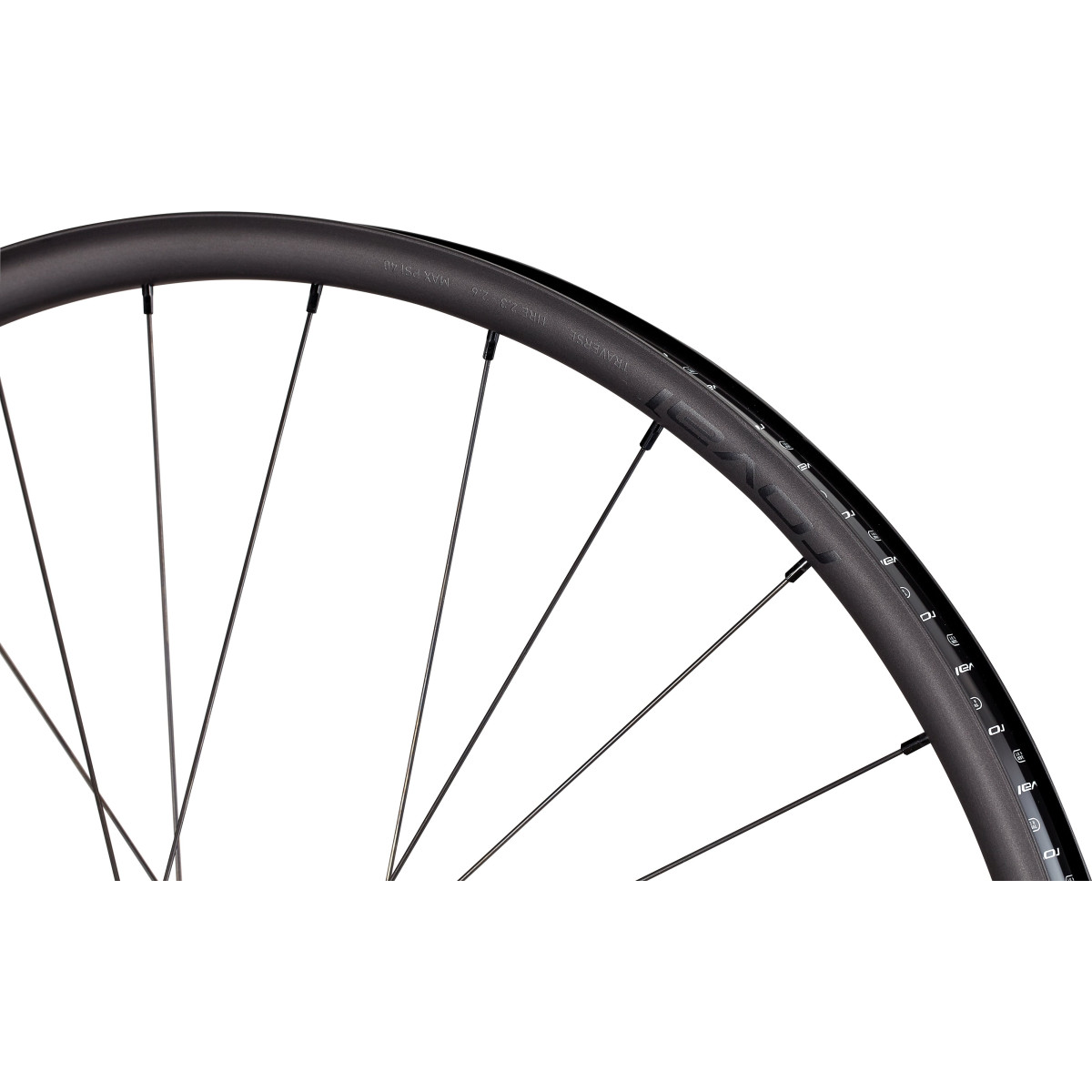 Roval Traverse Alloy 350 29