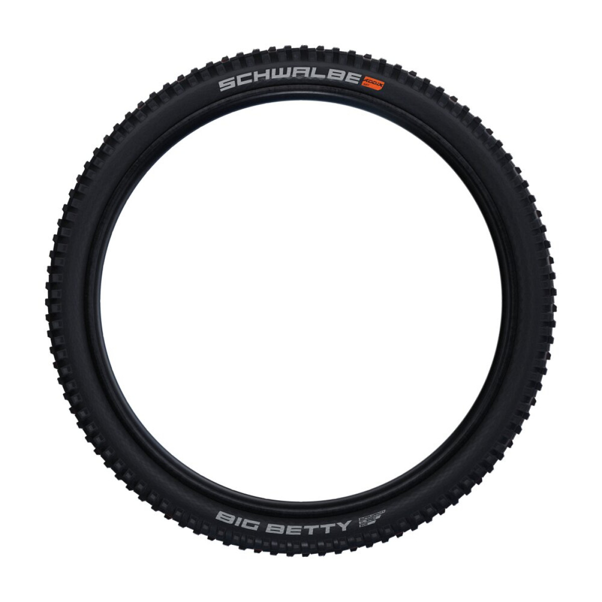 Schwalbe Big Betty TLE 29