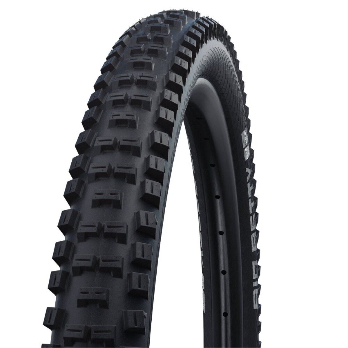 Schwalbe Big Betty TLE 29