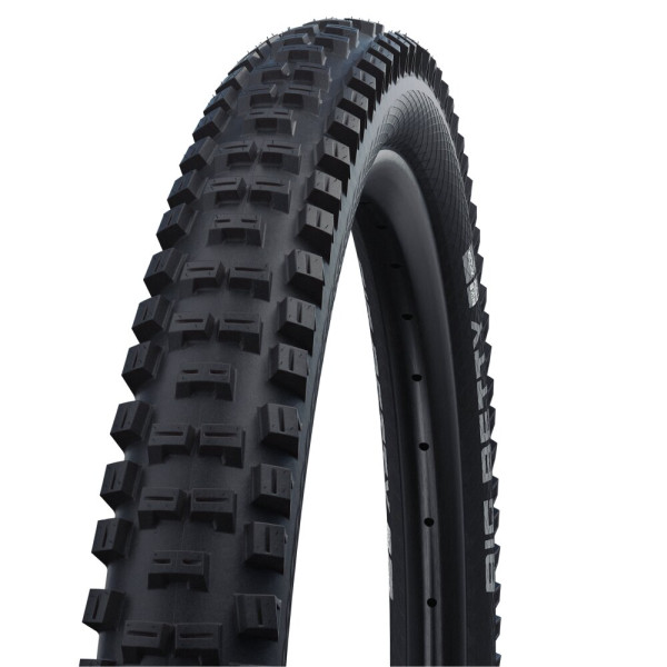 Schwalbe Big Betty TLE 29