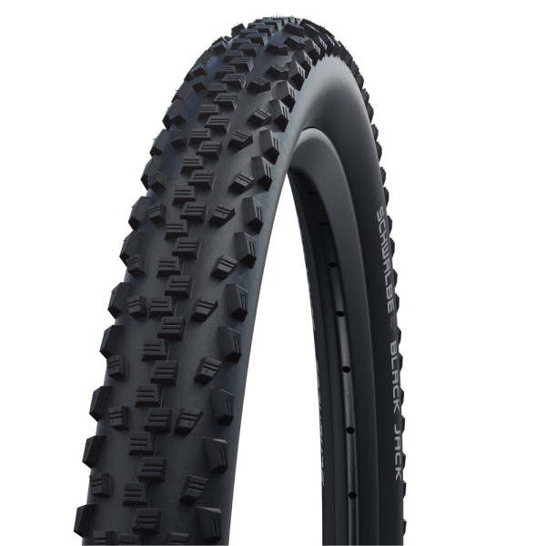 Schwalbe Black Jack Active Line K-Guard 20