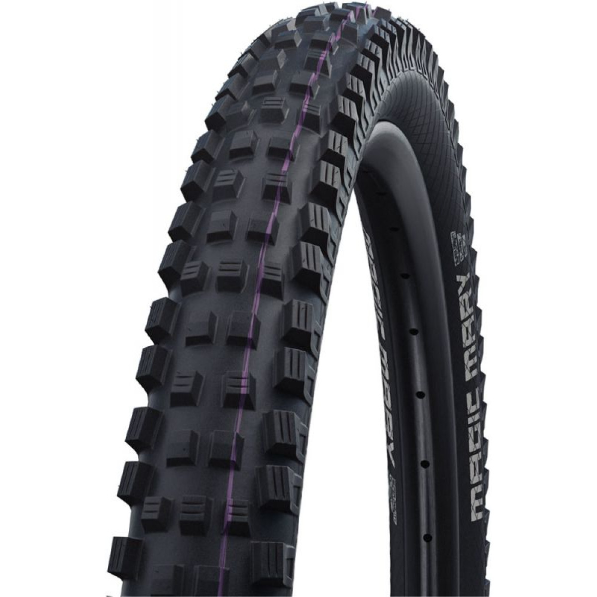 Schwalbe Magic Mary Evo Super Downhill 29