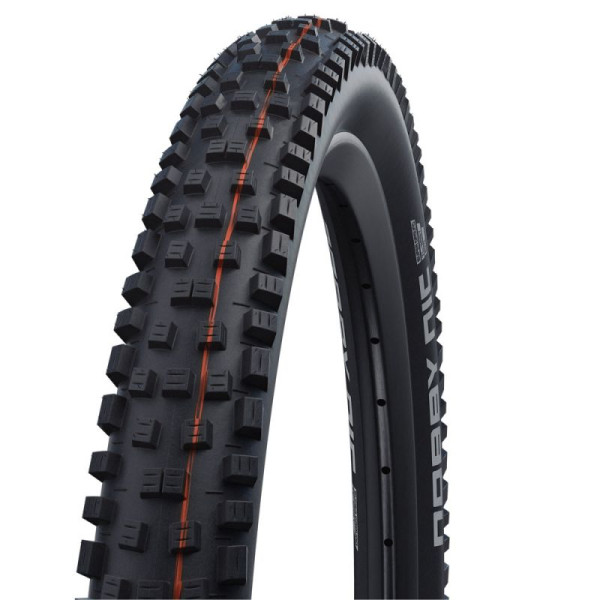 Schwalbe Nobby Nic Evo Super Ground TLE 29