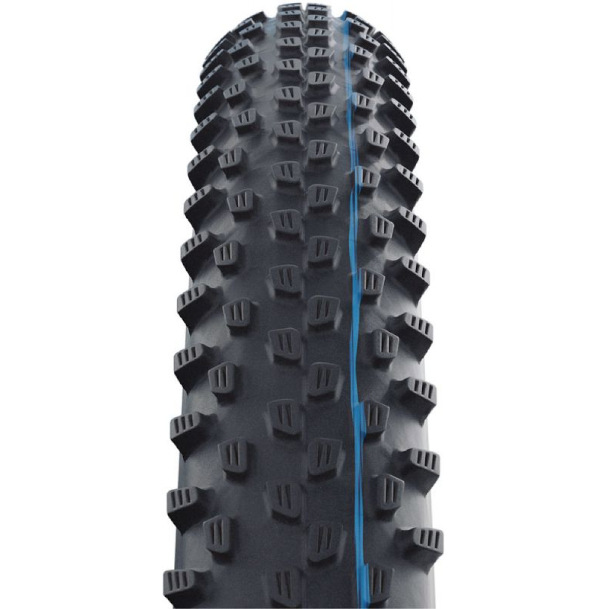 Schwalbe Racing Ray Evo Super Ground TLR 29
