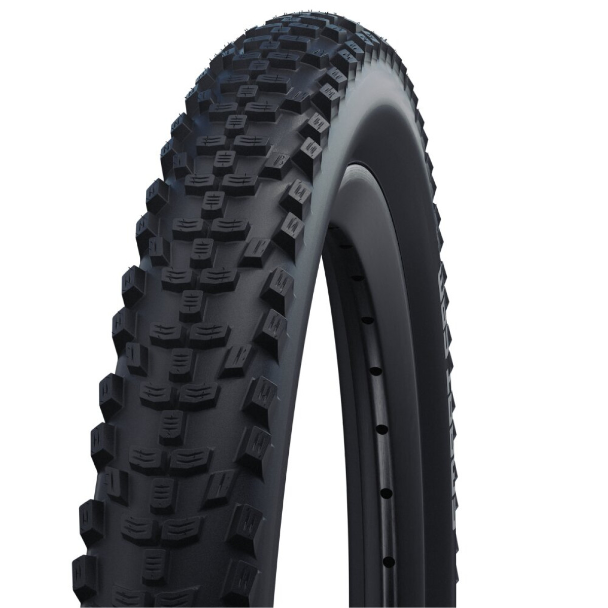 Schwalbe Smart Sam Performance 28