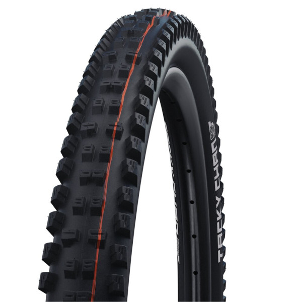 Schwalbe Tacky Chan Evo Super Ground TLE 29