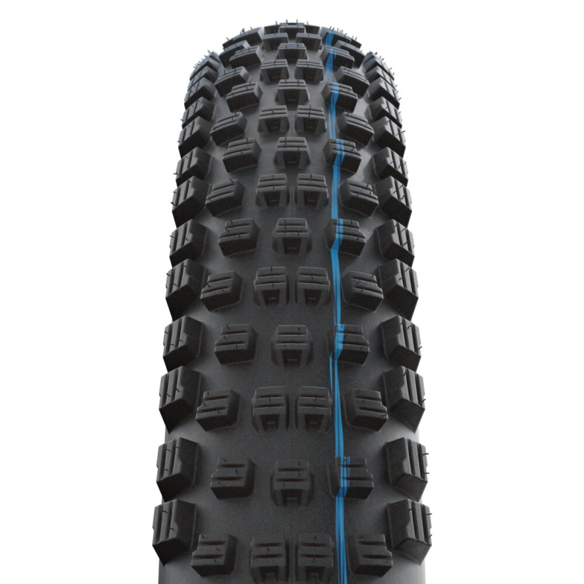 Schwalbe Wicked Will Evo Super Ground TLE 29
